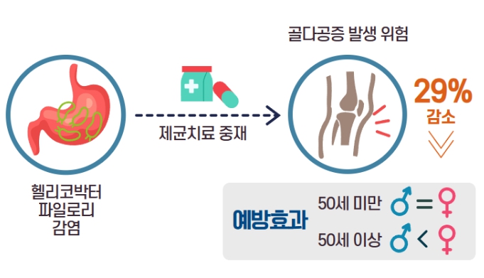 질병관리청, 헬리코박터 파일로리 제균 골다공증 예방에도 효과 있어 기사 이미지