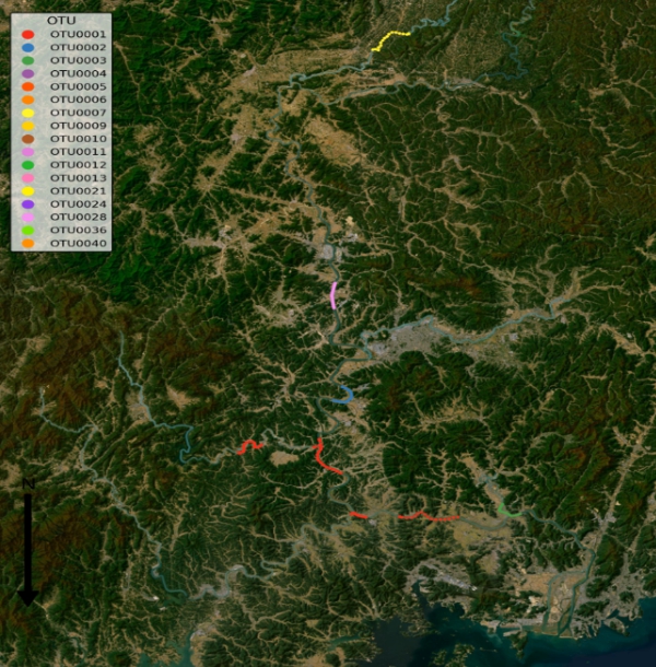기후에너지환경부, 녹조 유전형 정보집 국내 최초로 구축 기사 이미지