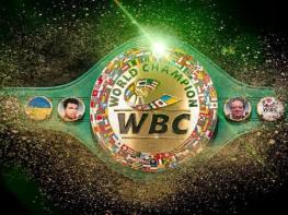 Datavault AI, 세계복싱평의회와 협약 체결… 글로벌 이벤트 기반 수익화 기회 확대 기사 이미지